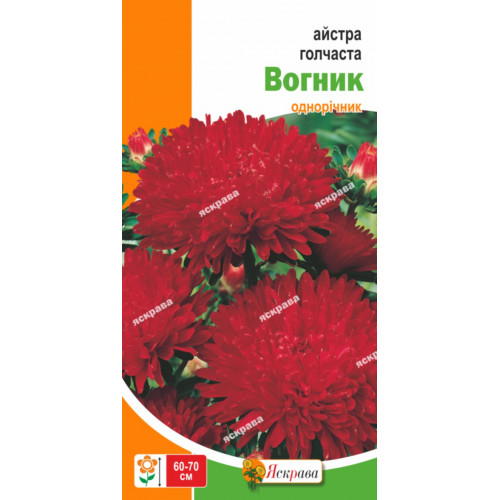 Астра игольчатая Вогник  0,3г